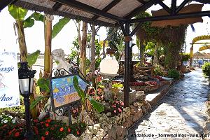 700- Torremolinos 